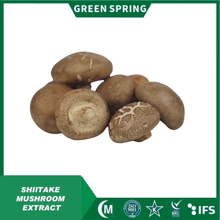 Shiitake Mushroom Extract